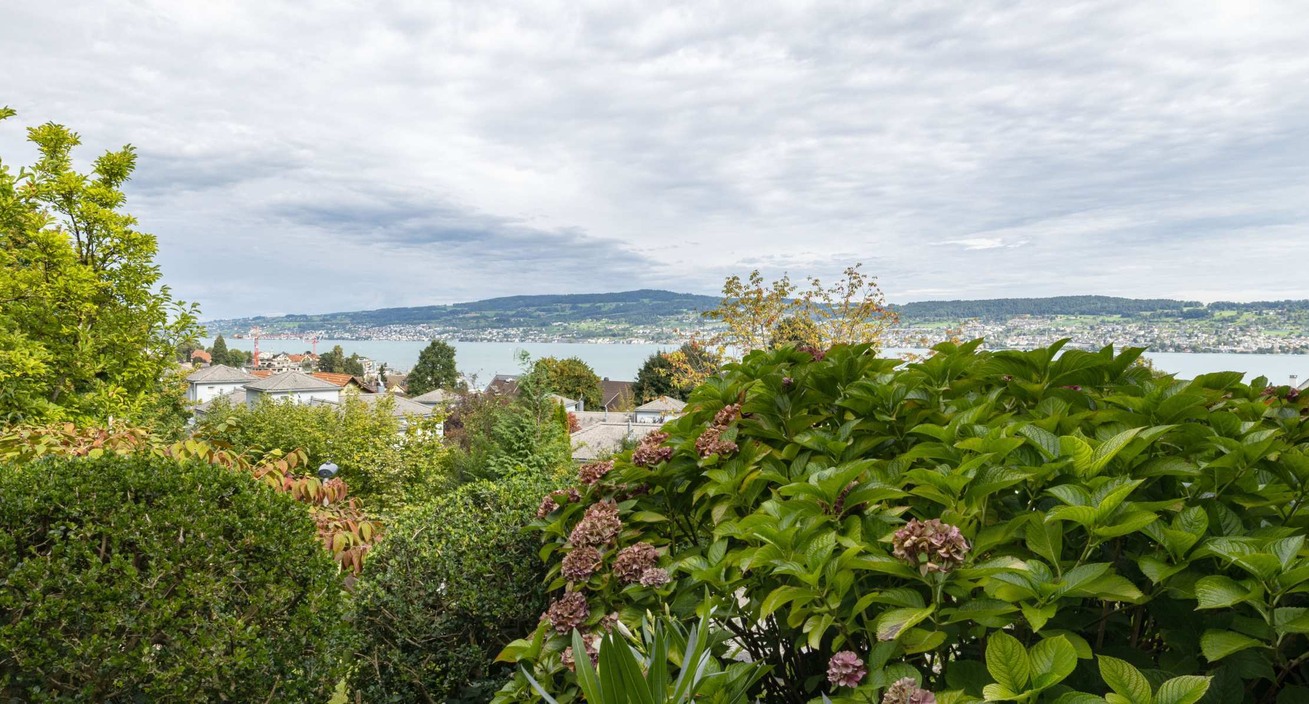 Blick über Hortensien auf den Zürichsee